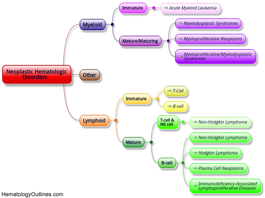 Hematology Flow Chart